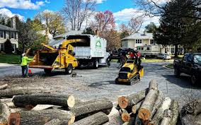 Best Firewood Processing and Delivery  in Winter Park, FL